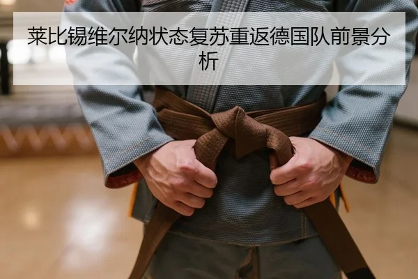 莱比锡维尔纳状态复苏重返德国队前景分析